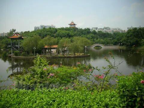 深圳十大免费特色的湖泊公园