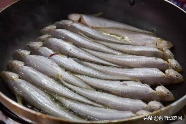 海魚圖片大全,海魚圖片大全及名稱