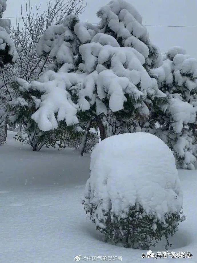 百年未遇!襲擊東北的這場特大暴風雪,到底極端到了什么程度