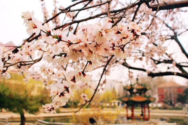 北京交通大学2018分专业录取分数线