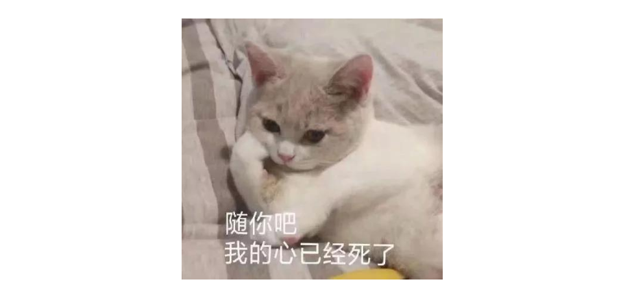 没想到！小学就开始用的QQ邮箱，竟然藏着这么多好功能