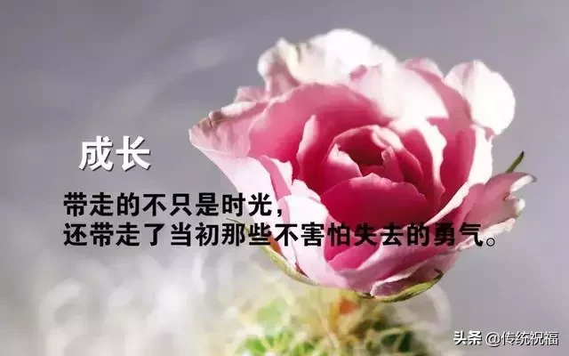 早安语录正能量句子 早安图片祝福心语