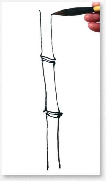 竹子很难画？教你从最基础的竹干画起，简单易学，适合0基础临摹