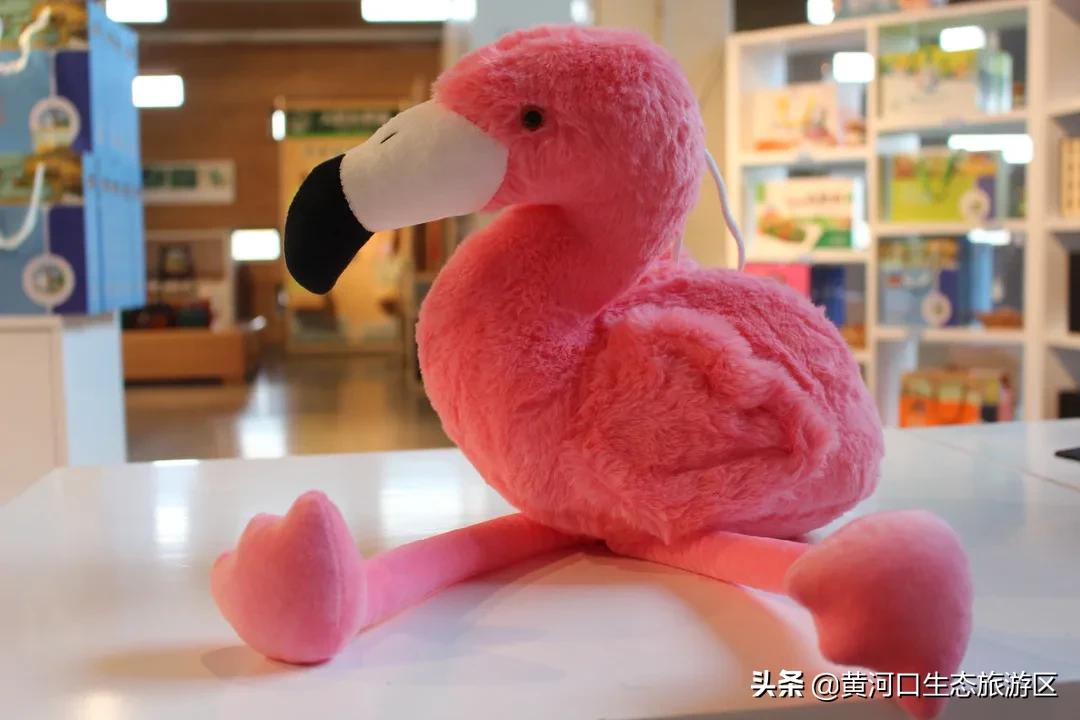 【黄河口生态旅游区】冬日暖阳 静享时光