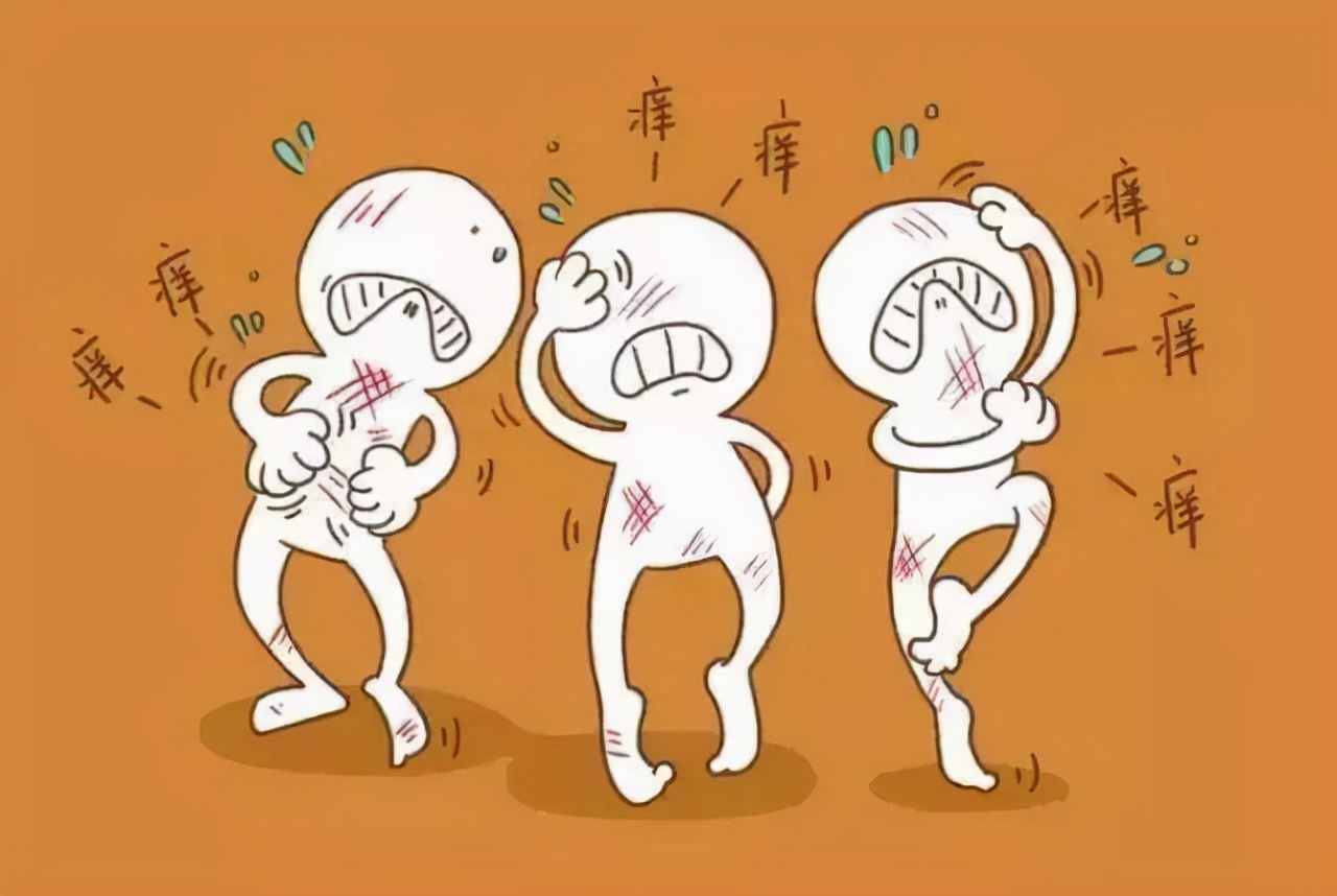 荨麻疹痒的难受？一剂消风散，消风清热，除湿止痒，有效解除风团