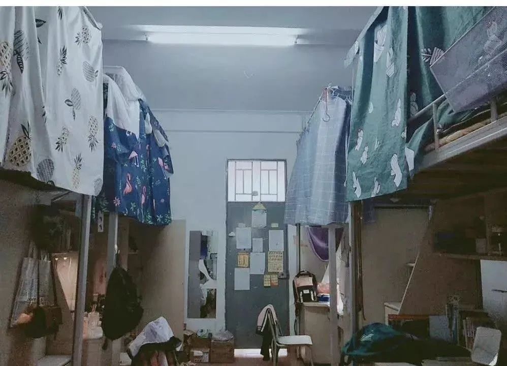 高职高考必看｜全面了解韶关学院