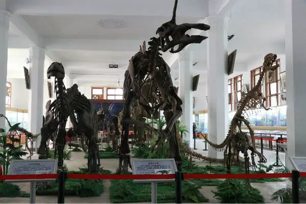 成都超“火”高校：占地2890亩，坐拥4大网红食堂，获人民日报关注！