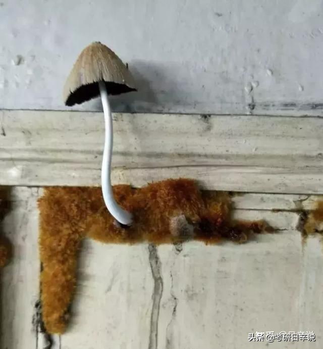 22考研，宿舍条件应当是重要考虑因素吗，有哪些 不推荐的学校？