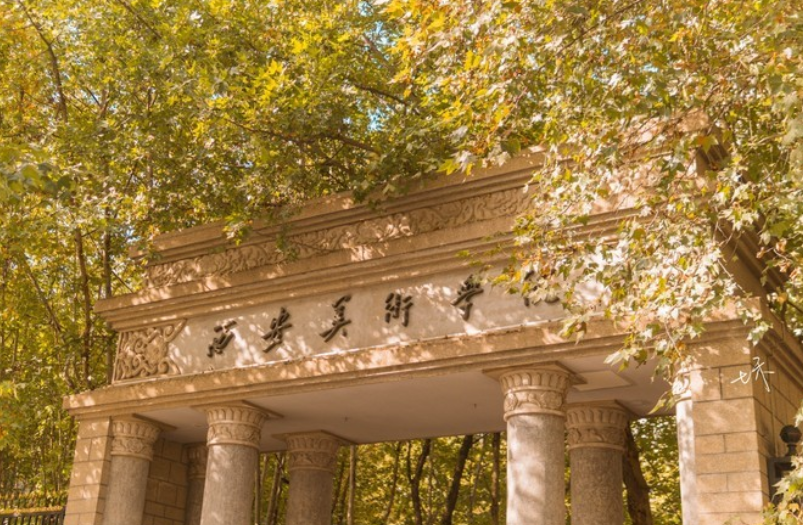 在西安美术学院好痛苦（西安美院录取8名考生又退档）