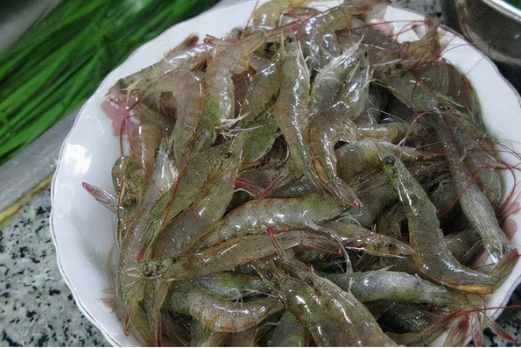 河蝦圖片,河蝦圖片大全