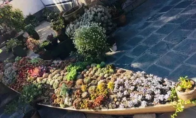 最美的尼姑庵，不烧香只种花，看一眼就想出家