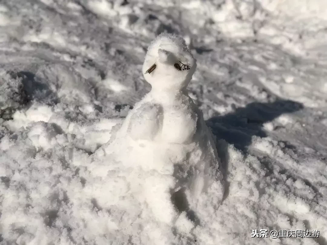 恭喜重庆又喜提一个4A景区！风车云海、日出星空，元旦去还可耍雪