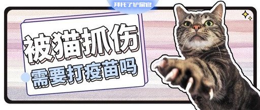 猫咪伸爪把我抓伤了，不打疫苗我会死吗？