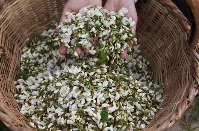 四月天里，嗅一口满地槐花香，仿佛看到童年美好