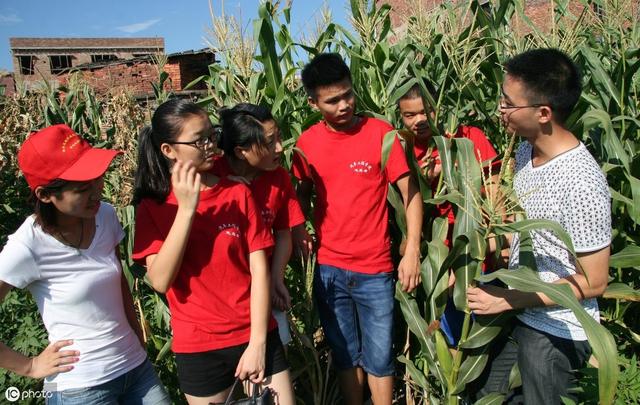 大学生有必要打暑假工吗？哪些暑假工好？
