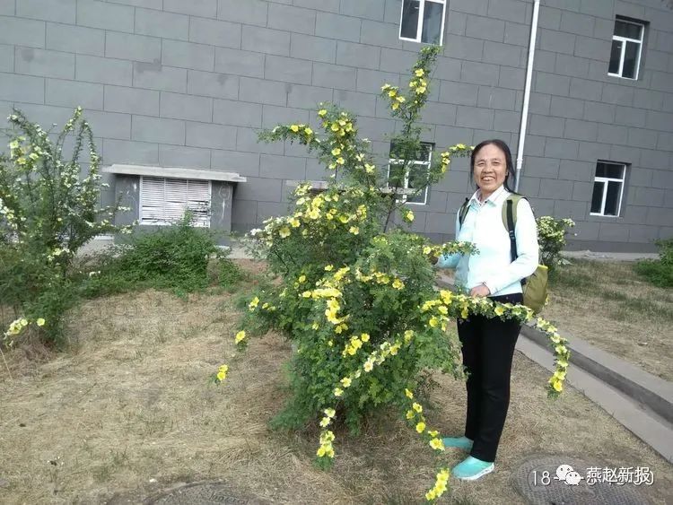 中学毕业45年女生感言 涿鹿保岱中学老照片