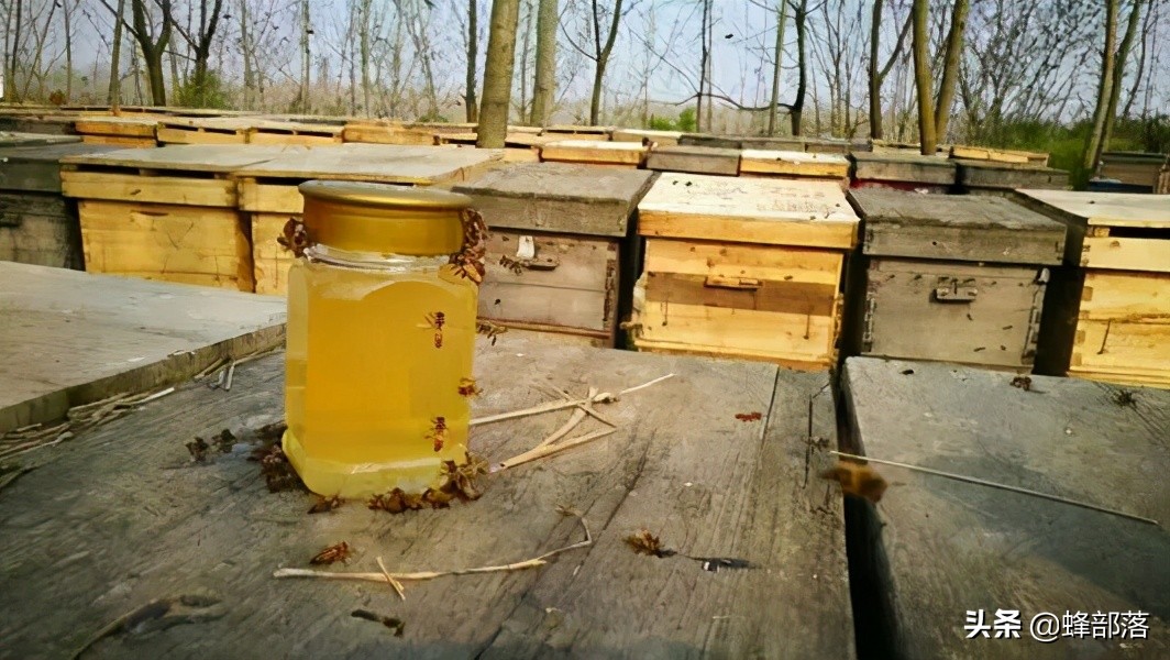 优质蜂蜜卖多少钱一斤适合？科学的讲，30元1斤都太贵了