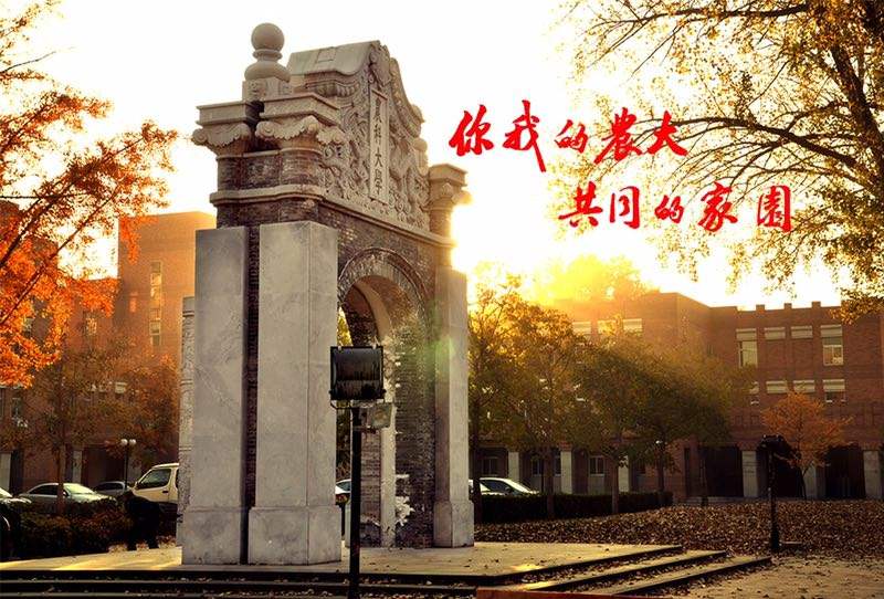 消失的13所全国重点大学，校友的伤感和快乐，化作尘土变成回忆