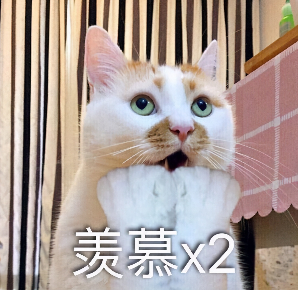 大学宿舍也“内卷”，南开夫妻宿舍成高校天花板，单身狗流泪了