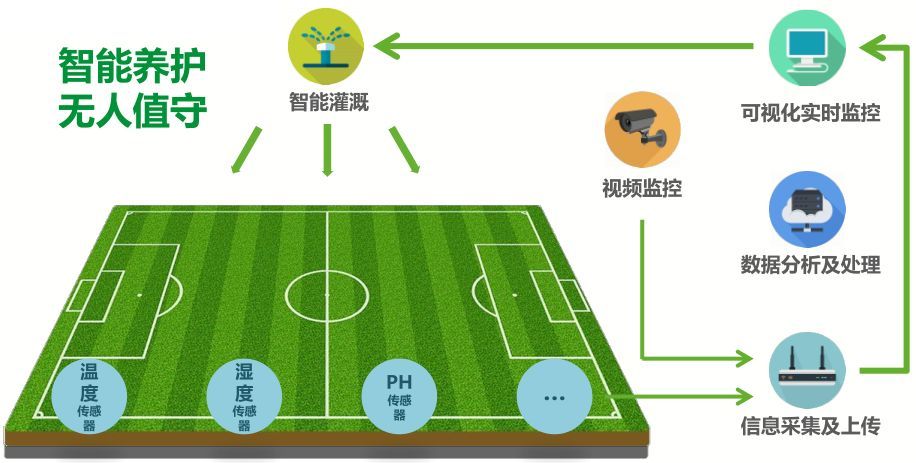 为什么踢欧冠草坪是绿色(光明正大的“盘外招”科普一下世界足坛的草坪系统科技)