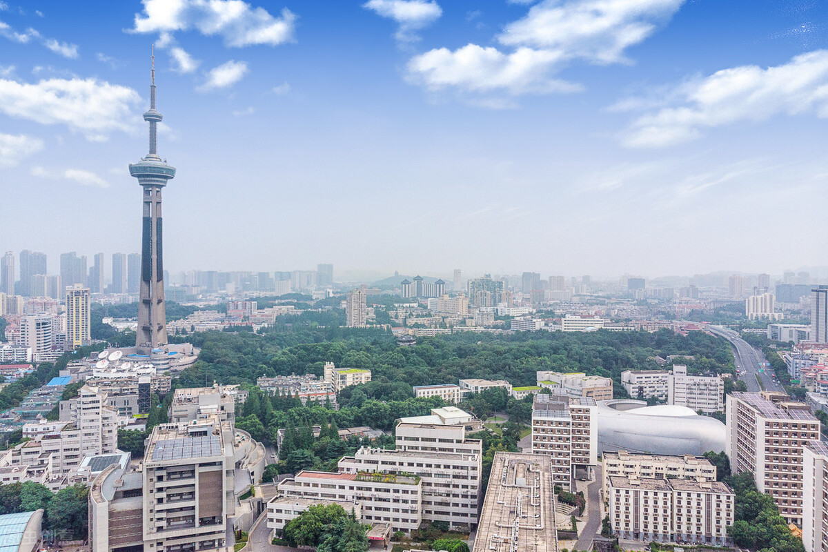 长三角城市群35所美术类大学，每一所大学都特色鲜明各有所长