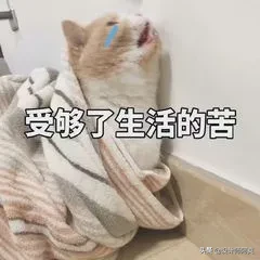 装修了2套房子,才发现客厅越小越要注意这件事