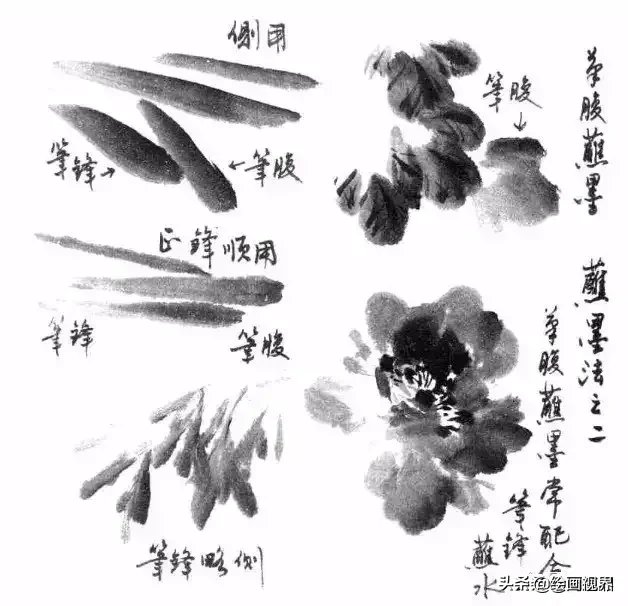 那是你没有学过这些国画基础知识,学会画国画很简单