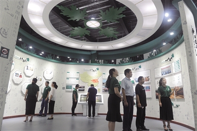 弘扬仲景文化 打造中医药强市｜南阳：中药产业迎机遇