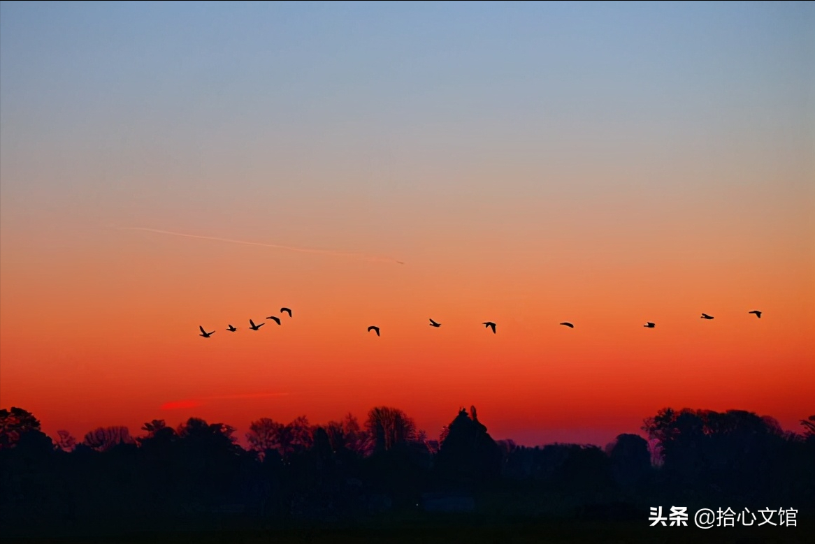 事与愿违，不过是另有安排