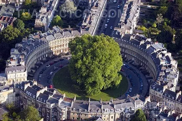 冬日遗产汤，泡吗？