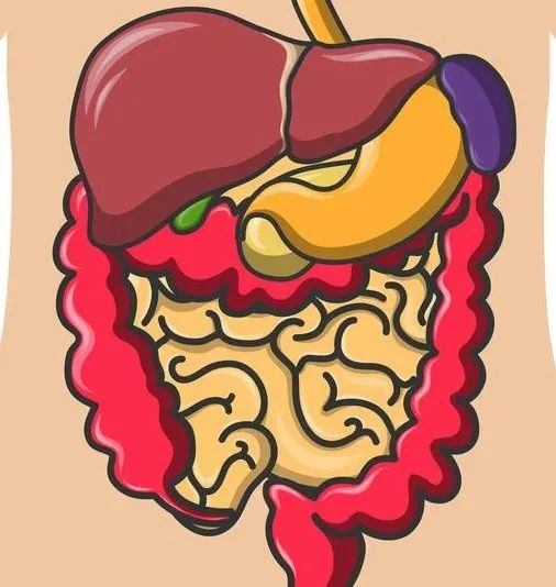 腹胀和胃胀示意图图片