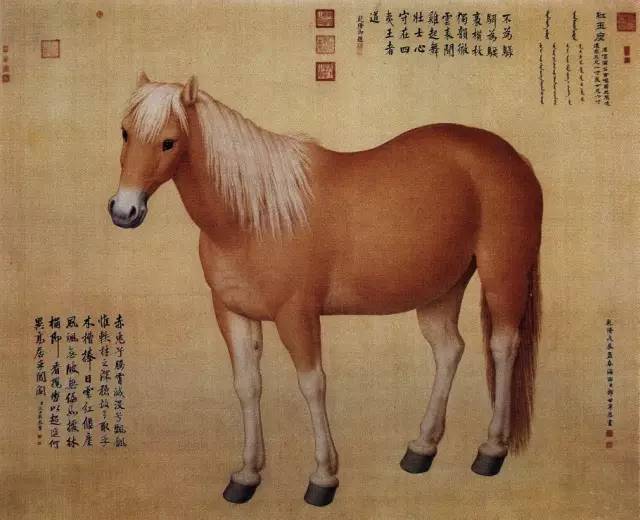 中国古今名家笔下的骏马，纵横驰骋