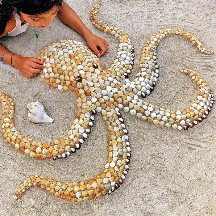 30张图片,夏季旅游海边捡的贝壳都扔了?太可惜了!你可以这样做