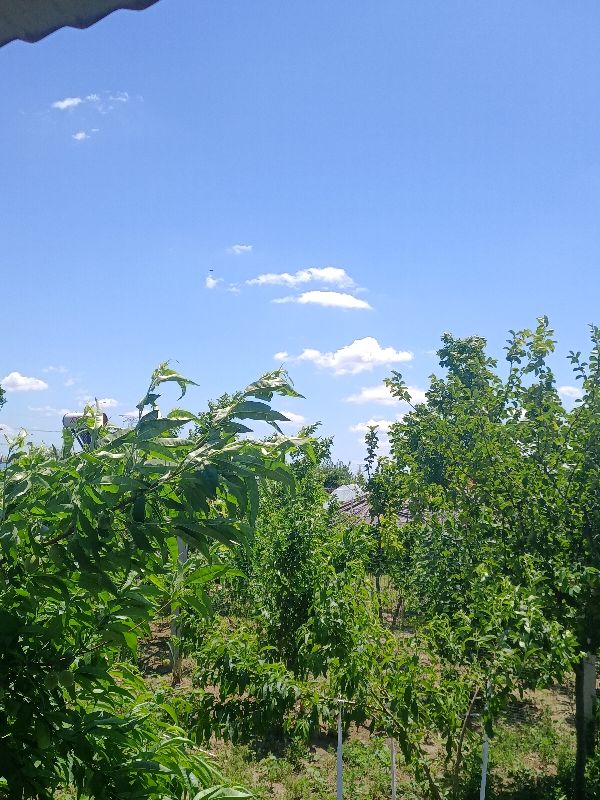 过生日的顺口溜（生日套词顺口溜）