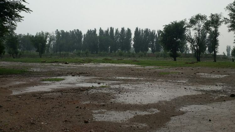 「苦乐年华18」第六章大学时代第1节：河北师范学院简介（3）