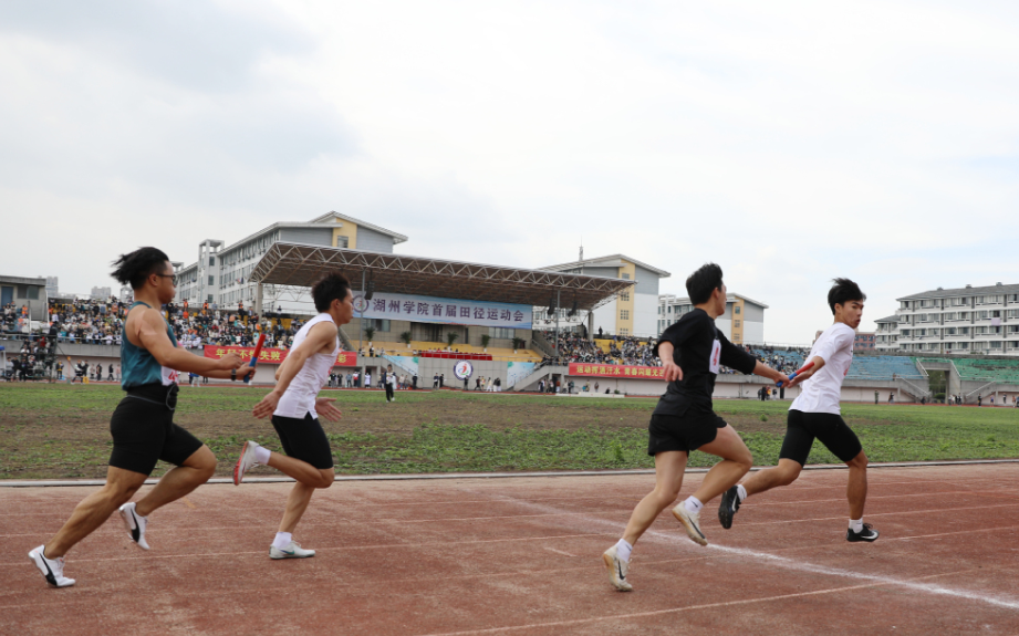 浙江迎来4所“新大学”，都是公办本科，本地教育将更上一层楼