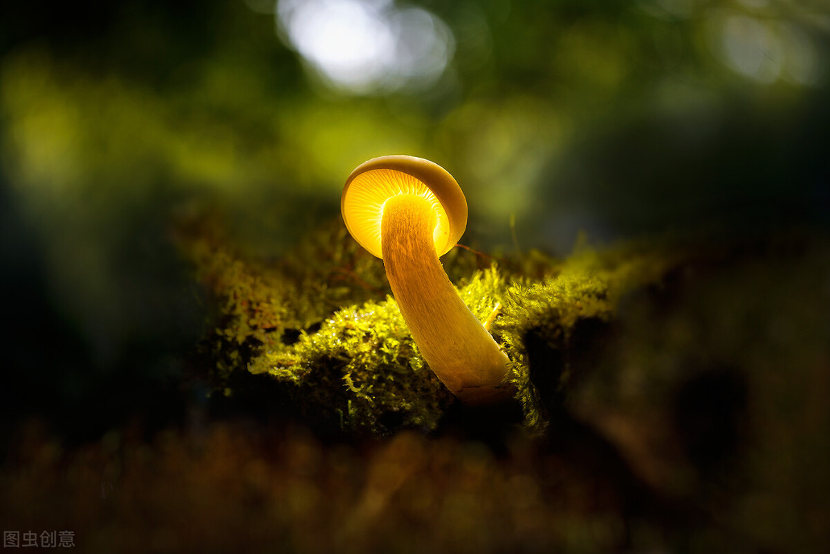 又一年高考来临，你是不是又梦见考试了？