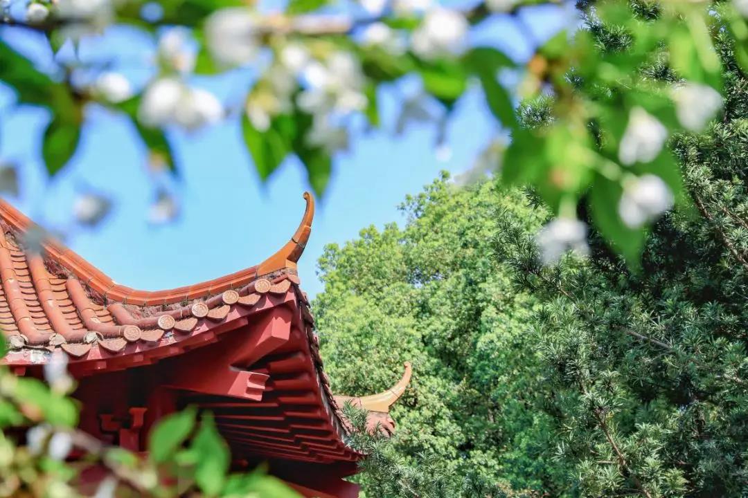 走出蛟龙号设计师、世界五百强总裁，创下多个第一，南华大学超火