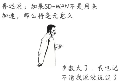 你好SD-WAN，再见VPN