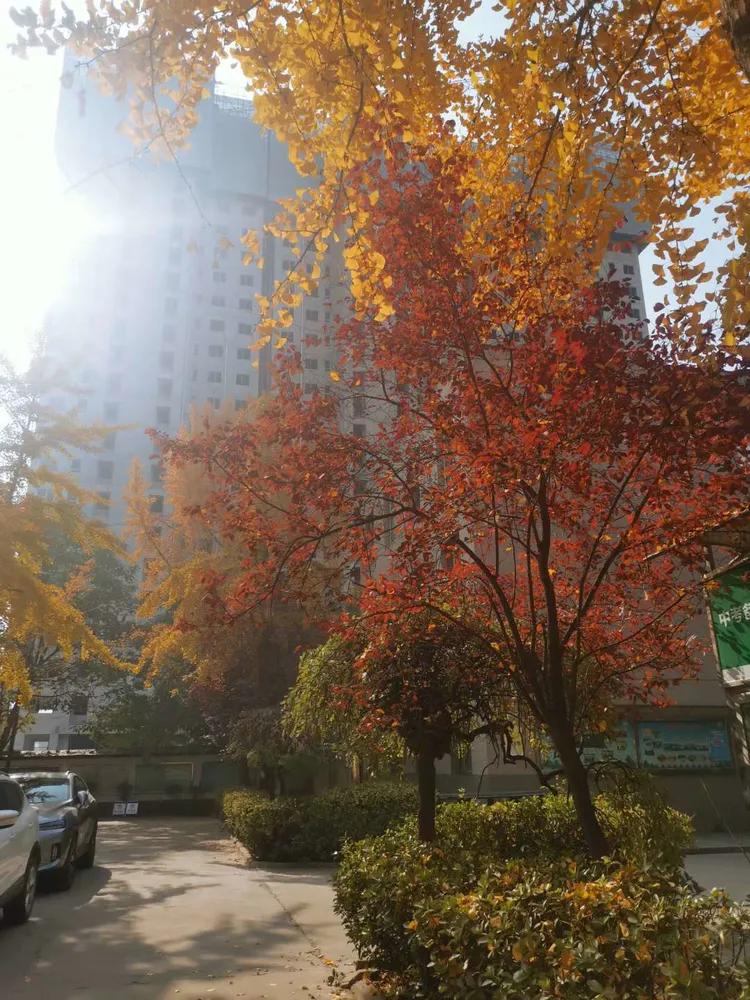 西安市第十四中學(xué)志愿服務(wù)隊在行動(圖1) 西安市第十四中學(xué)志愿服務(wù)隊在行動(圖1)