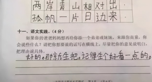 小学生奇葩作文，个个都能让你笑出内伤，网友调侃德云社需要你