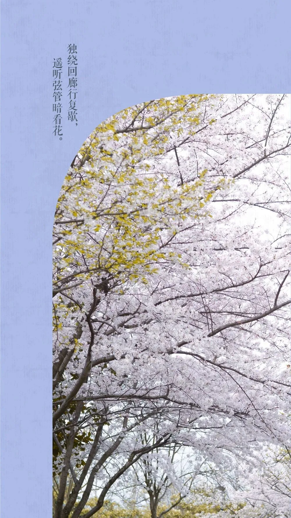 中国这10所大学壁纸第二期！厦门大学、中山大学等在列