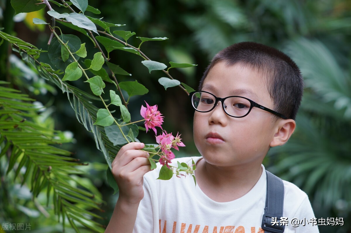 用自然教育，妈妈陪娃做5种有趣游戏，触发孩子的敏感“五感”