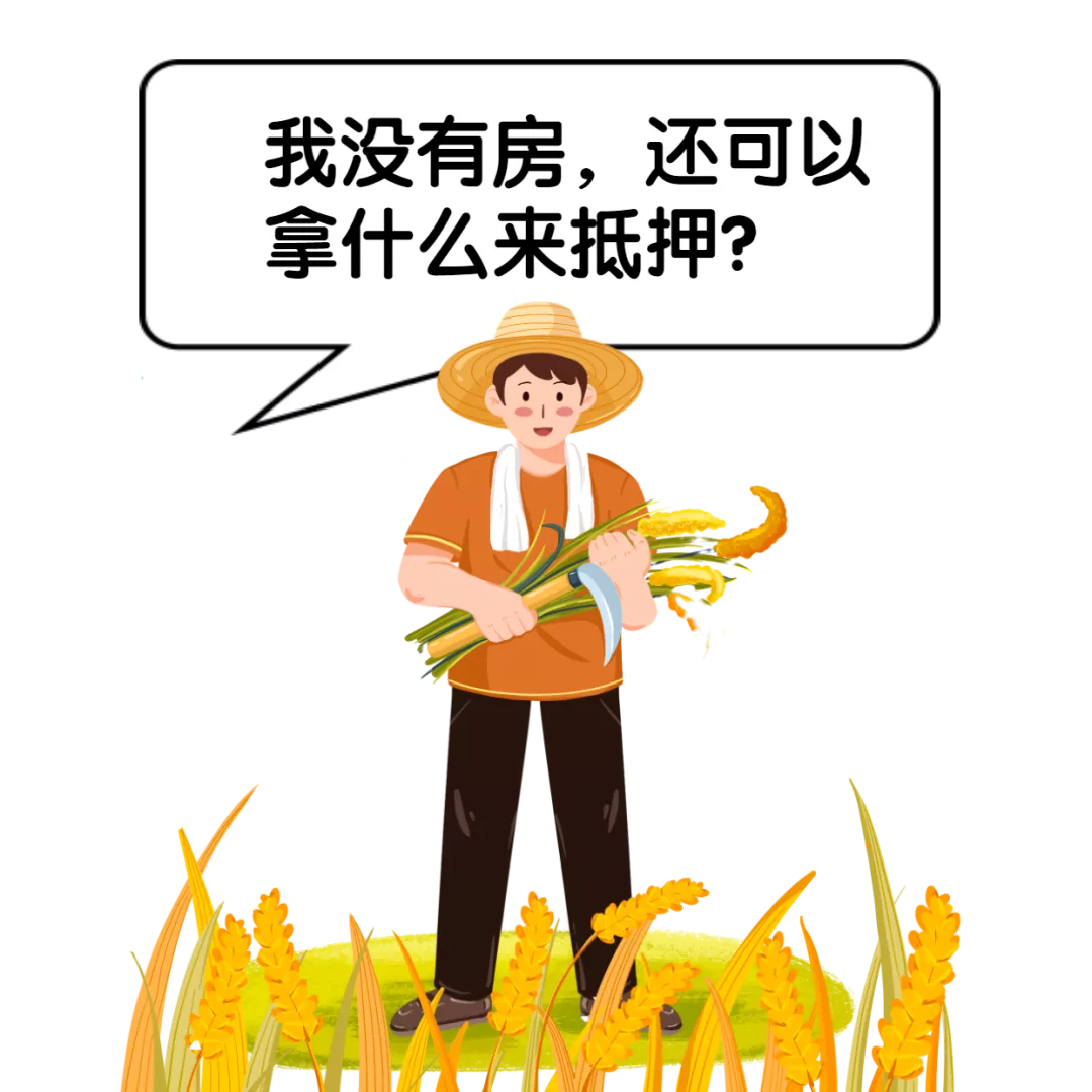 【涨知识】农村宅基地使用权可以用来抵押贷款吗?
