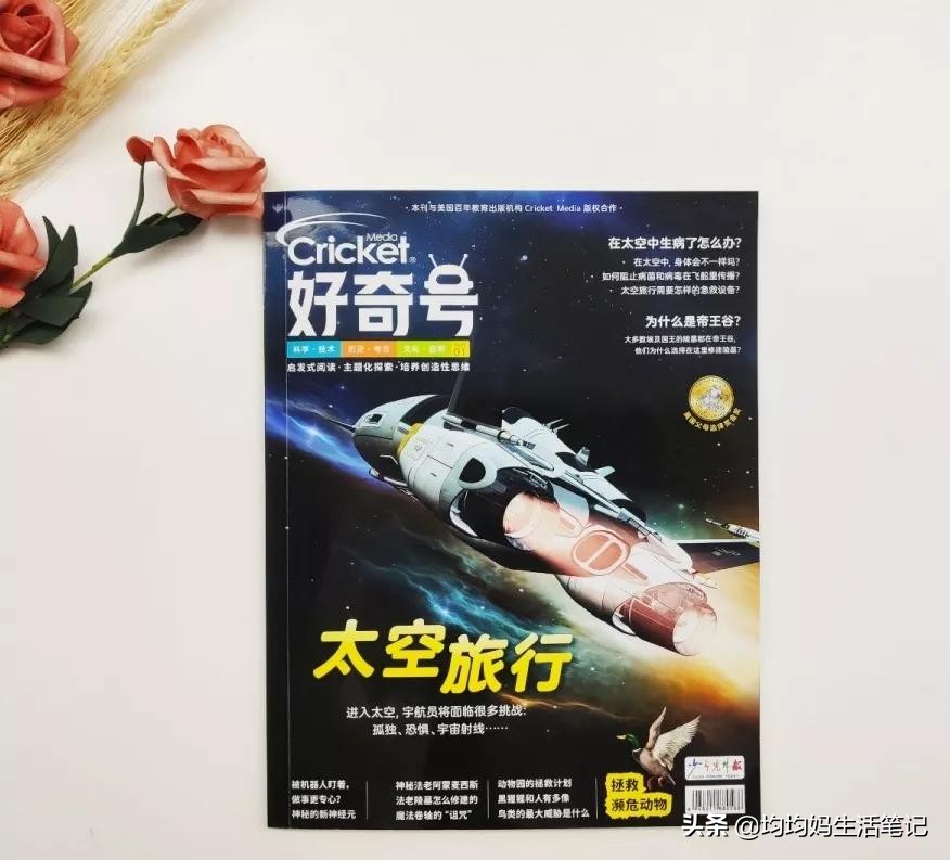 避免踩坑，2021年给孩子订杂志推荐这10种