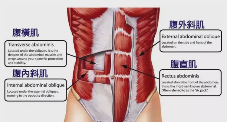 男人怎麼練出六塊腹肌？先減脂再虐腹！附一組腹肌訓練
