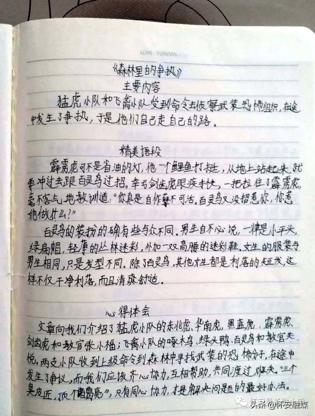 怀安县柴沟堡镇长胜小学网上秀学生假期作业