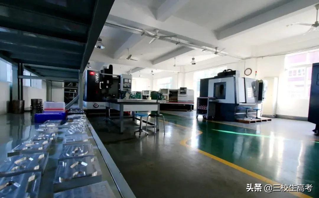 报考上海立达学院专升本，竟然还有免费游学大礼包