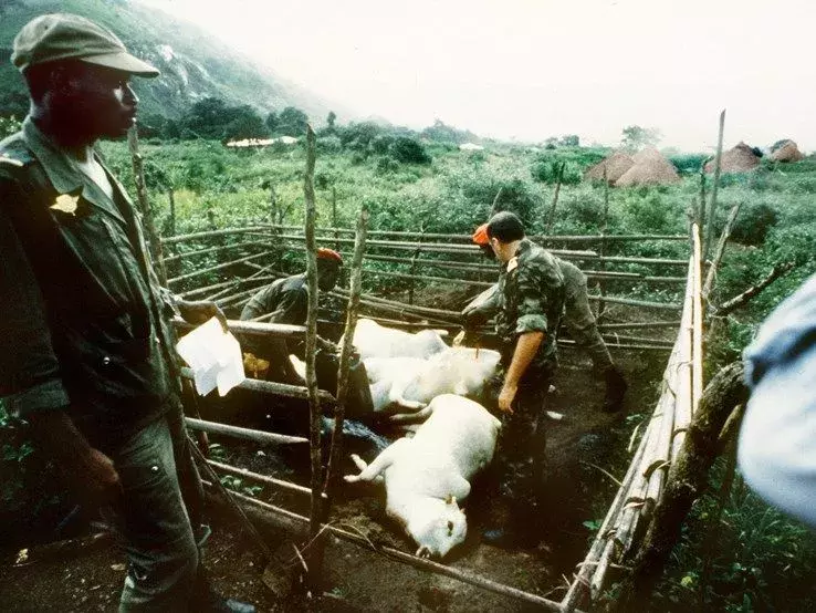 1986年湖泊杀人事件：非洲1746名村民全部毙命，幸存者：无法呼吸