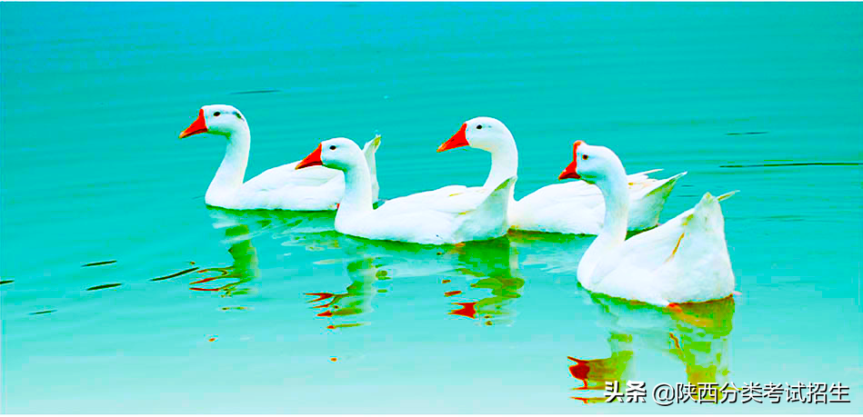 渭南职业技术学院2020年示范高职院校单独考试招生章程